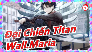 [Đại Chiến Titan/Mashup/MAD] Đoạt lại Wall.Maria|Đại chiến những đôi cánh tự do!_1