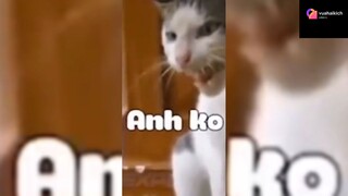 phim hài khoảnh khắc phần 8 #haihuoc