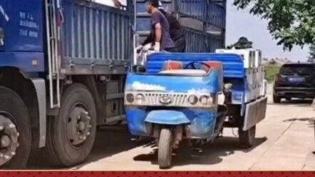 Buah Pakistan vs Buah Taiwan