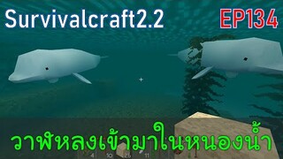 วาฬหลงเข้ามาในหนองน้ำ 2 ตัว | survivalcraft2.2 EP134 [พี่อู๊ด JUB TV]