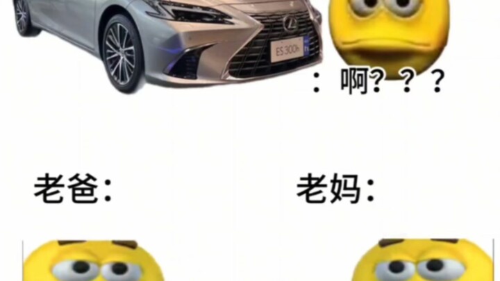 When Guangdong Parents Pick a Car