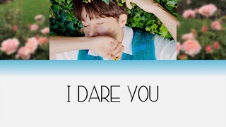 Kim Sungkyu (김성규) - I Dare You (Lyrics/Eng/Rom/Han/가사)