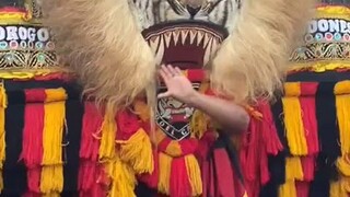 Harimau Jawa