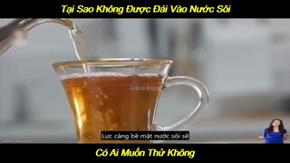 Tại Sao Không Được Cho Nước Đái Và Nước Sôi | LT Review