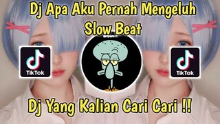 Dj Apa Aku Pernah Mengeluh - Salah Slow Beat Viral Tiktok 2021