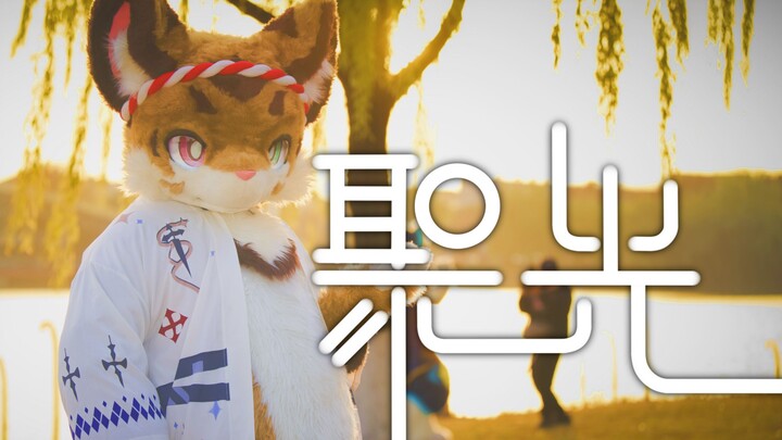 【Fursuit Dance】Spotlight (One-Take)