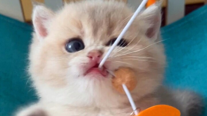 “I’ve got a hold of it, and I’m not letting go!”