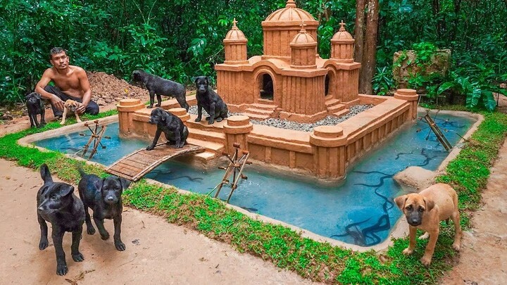 Bangun gubuk untuk anjing yang diselamatkan, dan kolam belut!