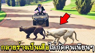 GTA V - KAMUI CITY #พิเศษ (โหมดพระเจ้า)กลายร่างเป็นเสือไล่กัดคนเนียนๆ!