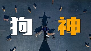 「弱者，总能找到生存的方法」