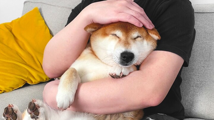 The dog was afraid of thunder and hid in the owner's arms for a hug