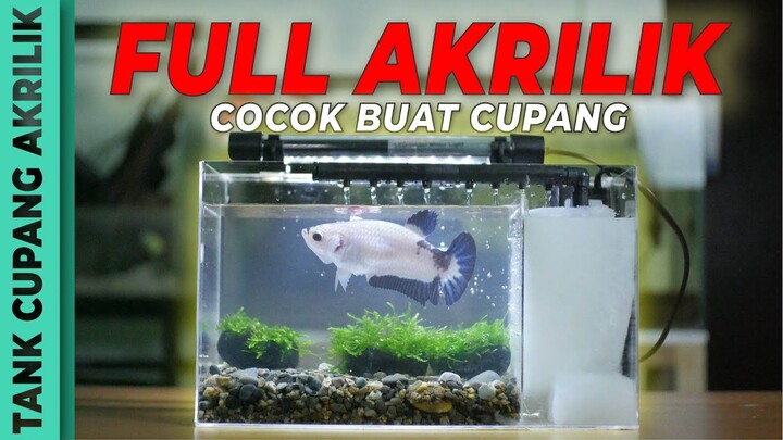 Cakep!! Tank Cupang Sultan Full Acrylic
