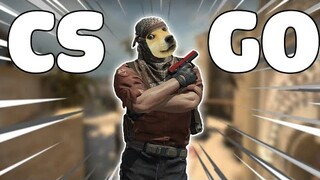 CS GÂU GÂU | CS:GO