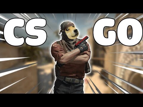 CS GÂU GÂU | CS:GO