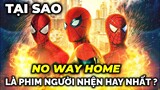 TẠI SAO SPIDER-MAN: NO WAY HOME đã trở thành PHIM NGƯỜI NHỆN VĨ ĐẠI NHẤT MỌI THỜI ĐẠI ?