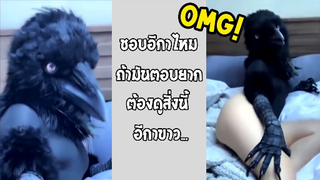 รวมคลิปตลกๆ : ชอบอีกาไหมค่า??