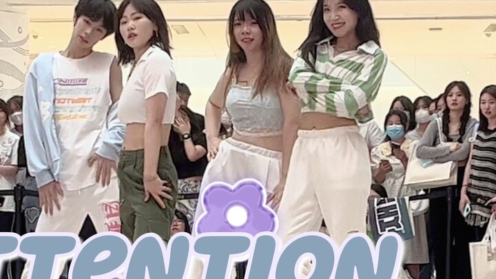 【New Jeans】Four sweet girls and one sweet boy's Attention road show live shot