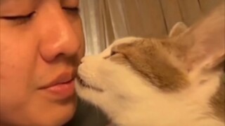 แมว: ตายซะเถอะ!