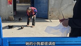 辞职回村卖油条