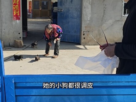 Resigned and returned to the village to sell fried dough sticks