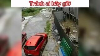 Trách ai giờ