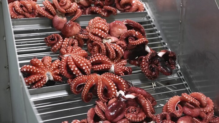 [Pabrik Pengolahan Alien yang Dapat Dimakan: 10 Ton per Hari]