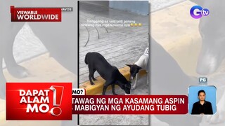 Aso, nagtawag ng iba pang mga aso matapos mabigyan ng ayudang tubig | Dapat Alam Mo!