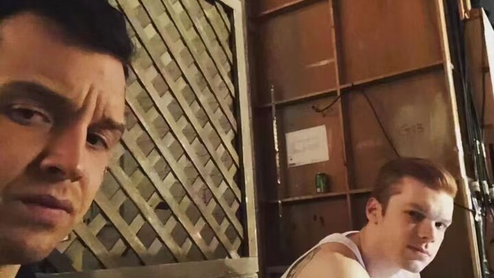 {Gallavich} Mickey cáu kỉnh và ông chồng thoải mái của anh ấy