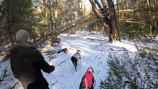 Dog hike in Wasaga Beach Ontario