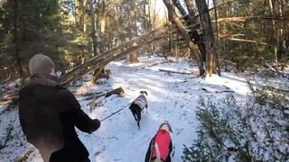 Dog hike in Wasaga Beach Ontario