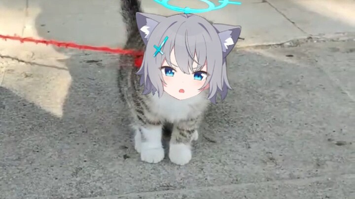 Bai Zi: Let me out to rob a bank!