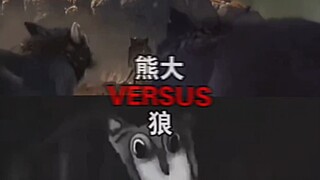 熊大 VS 狼