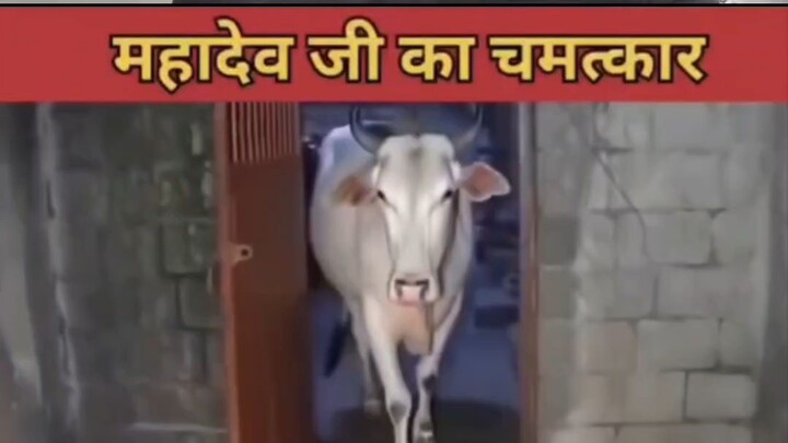 jai shree ram 🚩🙏