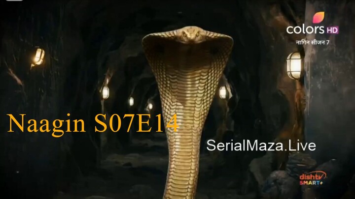 Naagin S07E14 7 h264