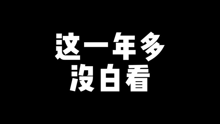 这一年多没白看