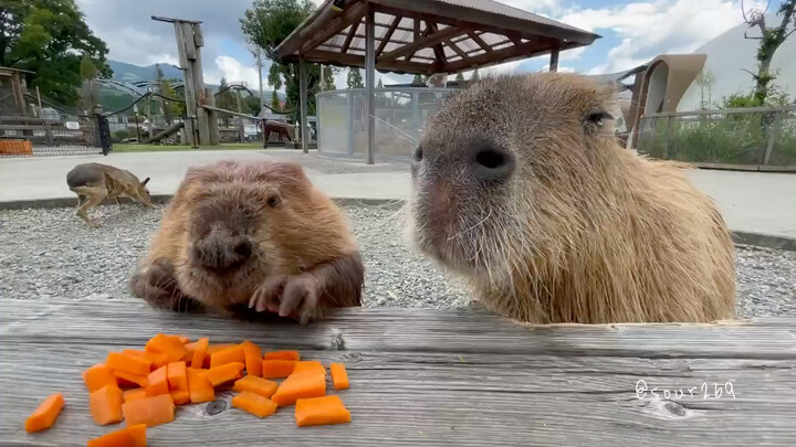 Bạn thân cùng nhau ăn cơm Y(^_^)Y