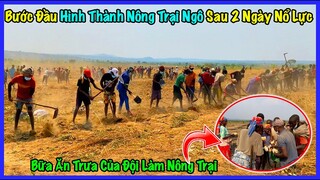 Đông Paulo || Bước Đầu Hình Thành Nông Trại Ngô Sau 3 Ngày Nỗ Lực Của Người Dân