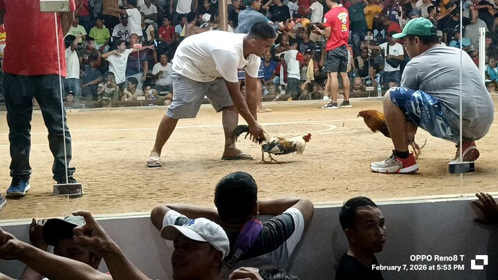 pahirapan sa wala sa atin jan mga idol na 7/10 5 cock derby aborlan cockpit arena