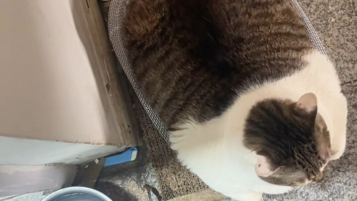 ไม่ได้ซื้อให้คุณนะ ต้องเข้าใจให้ถูกต้อง