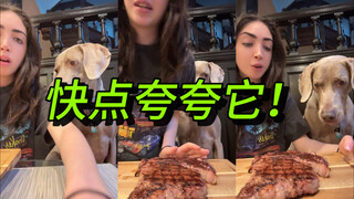 “帮我照看一下我的食物”最成功的一集！！！