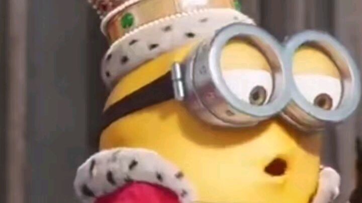King Bob 👑  Minion Scenes