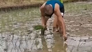 tik tok ibuk-ibuk ketika bapak jatuh