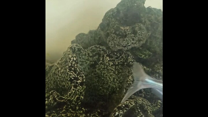 #soCute♥️♥️♥️