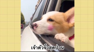 เพื่อนตัวน้อยแสนซน : เจ้าตัวจิ๋วสุดป่วน