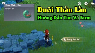 Đuôi Thằn Lằn - Hướng Dẫn Tìm Và Farm - Genshin Impact