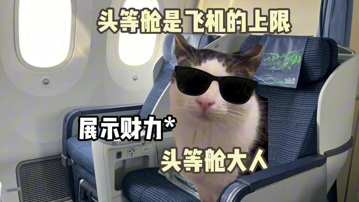 Tiếp viên hàng không: Anh ấy rơi một giọt nước mắt, tôi hủy diệt cả thành phố