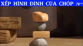 Xếp hình đỉnh của chóp #phimhaymoingay