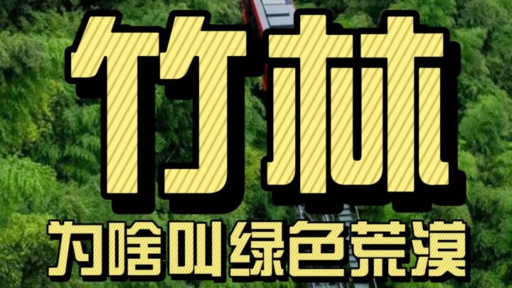 Why Is the Bamboo Forest Called a “Green Desert”?