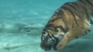 บินได้ ยิงได้! ใครกันนะที่คิดค้นเจ้าสิ่งนี้ขึ้นมา~