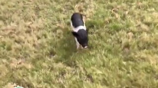 Netizen ini, apakah kamu benar-benar menyadari, sebenarnya apa yang disebut kejam... #PenghargaanKri